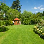 Comment accueillir la faune dans votre jardin ?